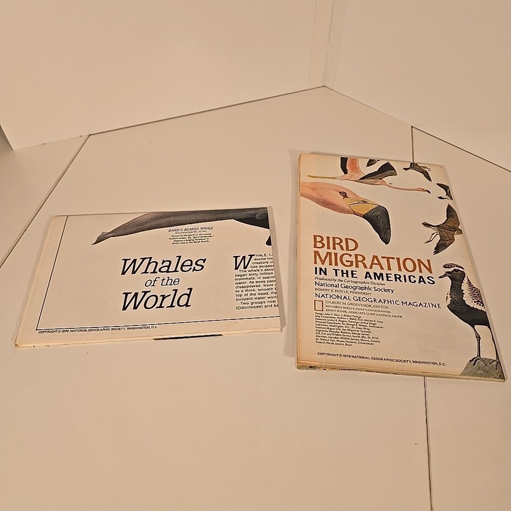 National Geographic Aug 79 Map Bird Migration In The Americas & Whales Of World